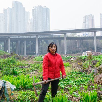 Heterotopia - Chongqing´s utopic gardens